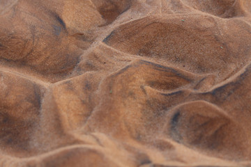 Autumn forest scene . Vivid morning in colorful forest with sun rays through trees . Gold foliage and footpath in autumn forest