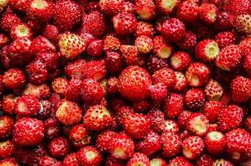 Strawberry macro photos. Food for health and beauty.