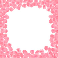 Fototapeta na wymiar Background with realistic pink rose petals isolated on white background.