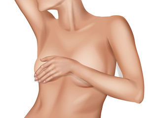 Fototapeta premium Female Breast. Detailed realistic illustration on a white background. Plastic correction and surgery concept.