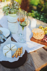 camembert cheese with bread sticks served on summer outdoor garden party