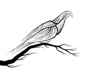 pigeon bird look like tree branches on the white background