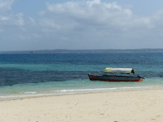 Fototapeta premium Zanzibar