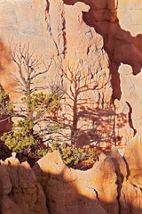 Brice Canyon_Utah_USA