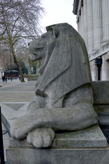 Stone lion outside Montague Place, King Edward the Seventh galleries, entrance to British Museum designed by Sir George Frampton, 1907.