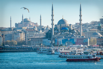 Fototapeta premium Istanbul mosques in a daytime blue haze, with ships in the foreground, and a bird in the sky