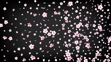 Nice Sakura Blossom Isolated Vector. Spring Falling 3d Petals Wedding Frame. Japanese Gradient Flowers Illustration. Valentine, Mother's Day Beautiful Nice Sakura Blossom Isolated on Black