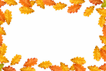 Naklejka na ściany i meble Bright colorful autumn leaves