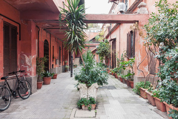 Fototapeta na wymiar Typical weathered residential yard in the old town Rome with tropical plants in flower pots