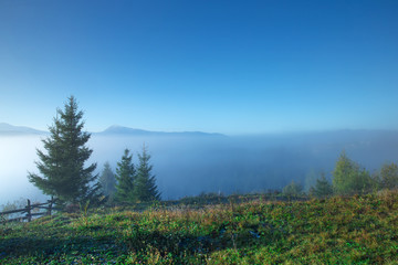Fototapeta na wymiar Carpathian mountain sunny landscape