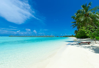 Plakat tropical Maldives island with white sandy beach and sea