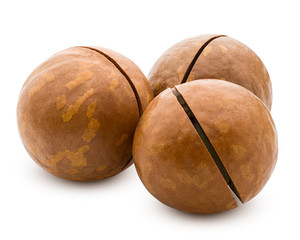 macadamia, nut, isolated on white background, clipping path, full depth of field