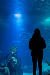  a girl looks at an aquarium