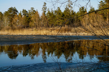 lake, water, ice, shore, forest, trees, sky, clouds, nature, walk, observation