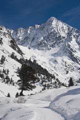 Fototapeta na wymiar Alpine Snow Landscape, Austria