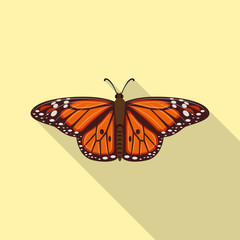 Vector illustration of insect and fly symbol. Set of insect and element stock vector illustration.