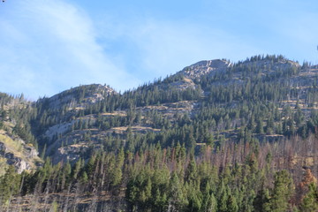 Beauty On The Bow Valley Parkway, Banff National Park, Alberta