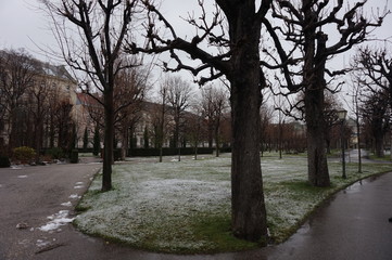 Gloomy autumn or spring park in Europe.