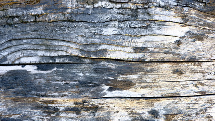 Wood texture of old  grey wall