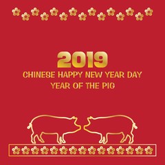 Fototapeta na wymiar Gong xi fa cai Chinese happy new year 2019