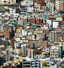 Dense Urban Cityscape and Landscape of Busan