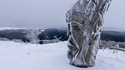 Holzskulptur im eisigen Schnee