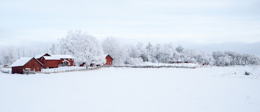 Farm barn and house in a cold winter landscape with snow and frost