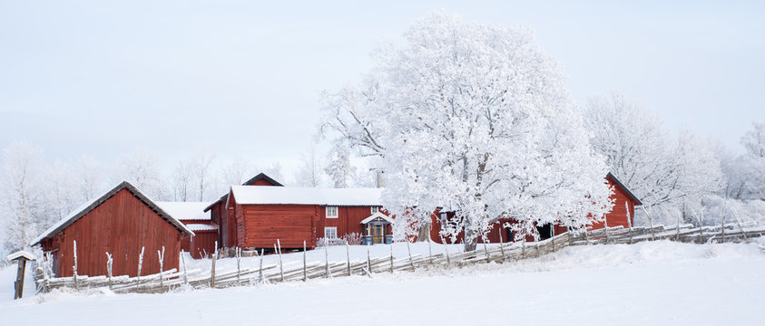 Farm barn in a cold winter landscape with snow and frost