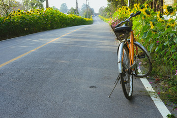 Fototapeta na wymiar bicycle parking beside road in the morning