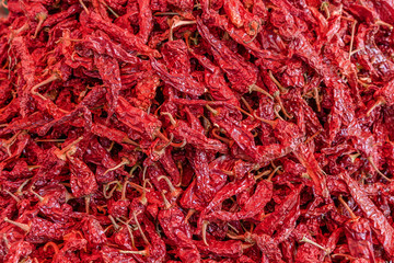 Fototapeta premium Red dry Chili pepper background