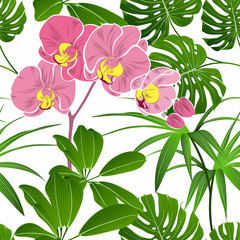 Seamless tropical pattern with orchid flowers and green exotic leaves.