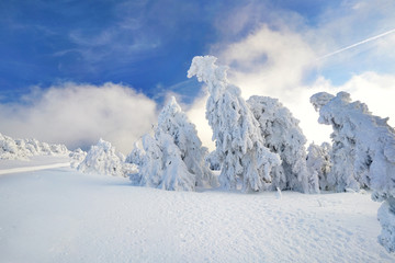 Fototapeta na wymiar schöner Wintertag auf Gipfel