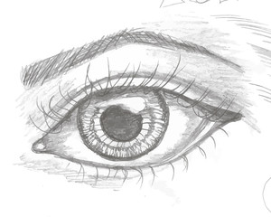 Illustration with eye in the style of hatching. An idea for a tattoo.