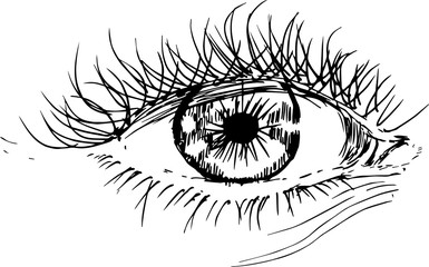 Illustration with eye in the style of hatching. An idea for a tattoo.