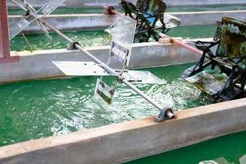 spirulina farm. algae farming for producing dietary supplement