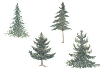 watercolor hand drawn pine trees set for decoration isolated on white background, fir, spruce