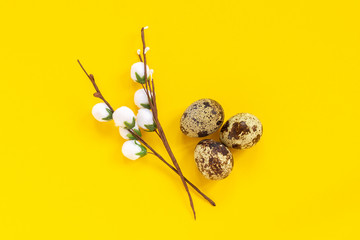 quail eggs and decorative willow branch on yellow paper background in minimal style. Easter concept. Template Creative Flat lay Top view Copy space lettering, text or your design