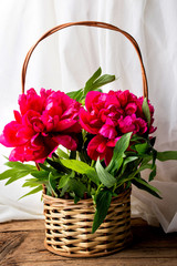 Fototapeta na wymiar Red peony flowers in a basket