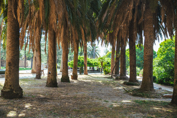 woman walking by palms park in blue dress