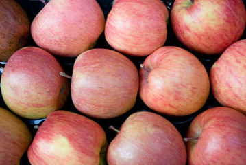 box of fresh ripe organic apples, green, and red, fruit, sold in a farmer's market, diet, nourishment, juicy, vitamins, Milan, Italy