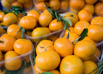 Tangerines (mandarins, clementines, citrus fruits) with green leaves, in a plastic basket, at local fruit market, orange, agriculture, food, diet, vitamins, nourishment, nutrition, Milan, Italy