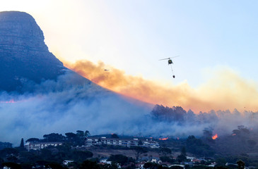 Fire helicopters  fighting a growing wildfire on the 27th of January 2019 at Lion's Head in Cape...