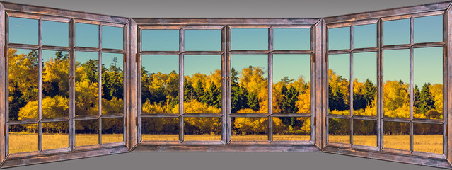 autumn trees leaves multicolored wooden window