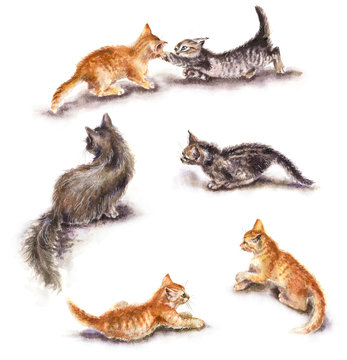 Red and Gray Kittens Watercolor Sketch