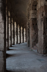 Fototapeta na wymiar Anfiteatro di Massimo a Roma nella città eterna