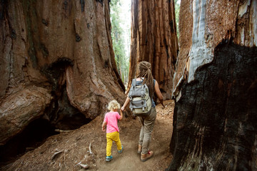 Family with boy visit Sequoia national park in California, USA