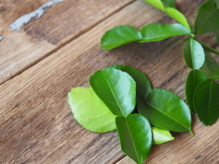 Fresh green kaffir lime leaves or Bergamot On old wooden boards in a spice concept for Thai food