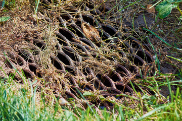Manhole from iron lattice wells for water flow on green lawn.