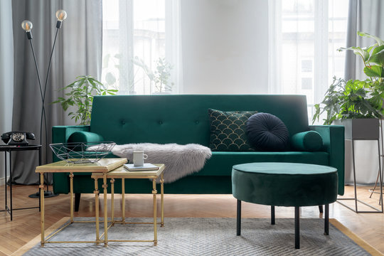 Bright and sunny luxury home interior with design green velvet sofa, furniture,  gold coffee tables, pouf, plants and accessroies. Big windows with grey curtains. Stylish decor of living room.