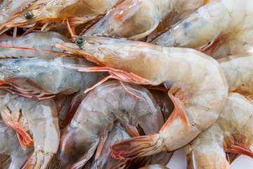 group of fresh shrimps prawns seafood  red skin prawn vannamei